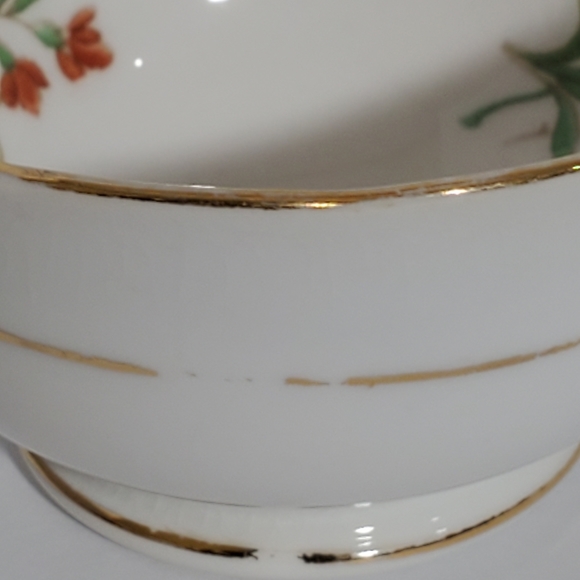 Rare Vintage Tuscan Fine English Bone China Tea cup w/Saucer - Picture 10 of 14
